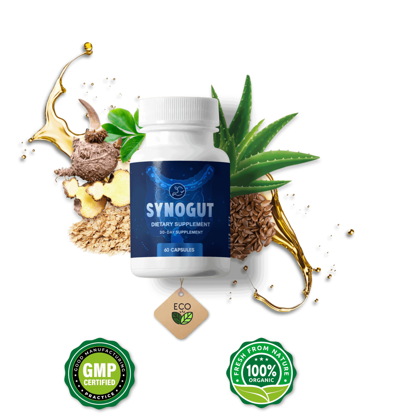 Syno-gut-supplement
